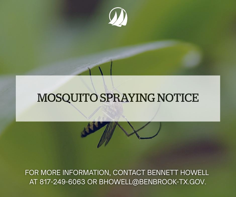 568734120_1248368870663139_4111656657786556098_n