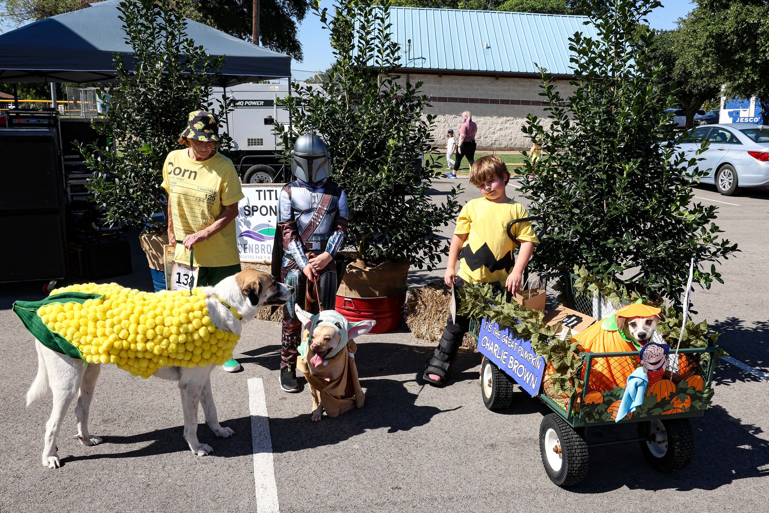 1st, 2nd, and 3rd place for the dog costume contest